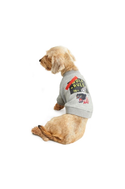 Grey Pet-Wolf-Gry Diesel UK