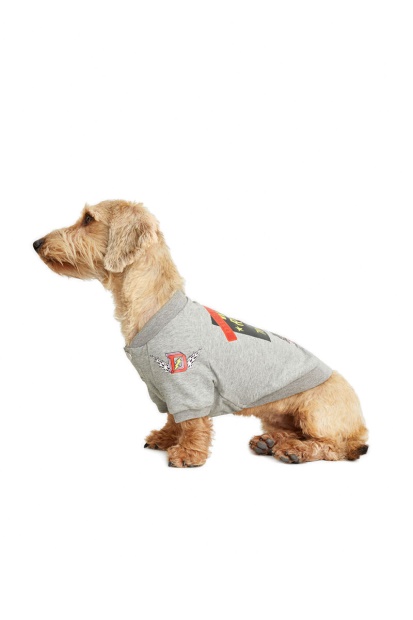 Grey Pet-Wolf-Gry Diesel UK