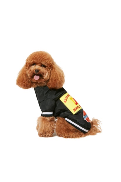 Black Pet-Chwork Diesel UK