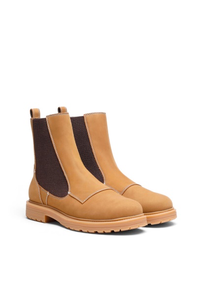 D-Alabhama Ch Diesel UK Light Brown