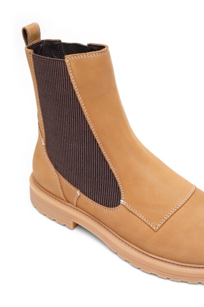 D-Alabhama Ch Diesel UK Light Brown