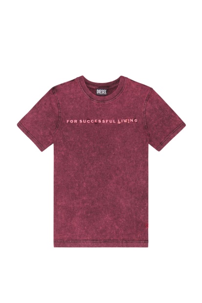 Red Diesel UK T-Reg-E4