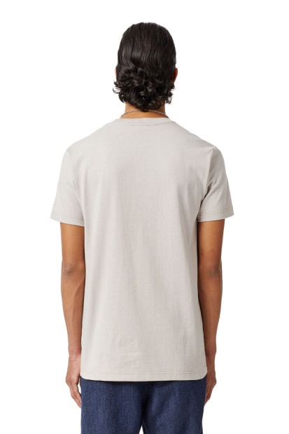 T-Diegor-C4 Diesel UK Grey