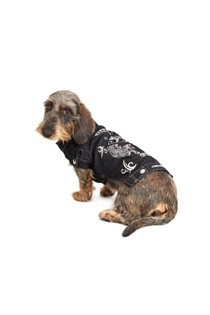 Black Diesel UK Pet-Tigers