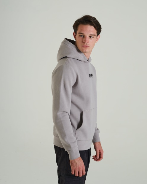 Diesel UK Lupin Hoodie Fossil Stone Light Grey