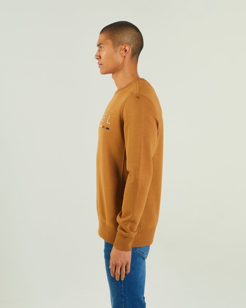 Fredrick Sweatshirt Maple Leaf Diesel UK Brown
