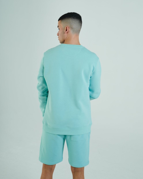 Diesel UK Shawn Sweatshirt Mint Ice Cream Green