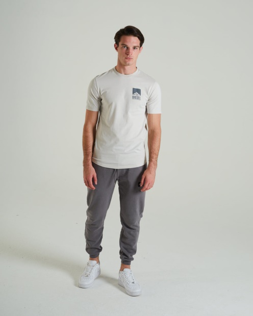 Diesel UK Wilderness Tee Clay Ivory