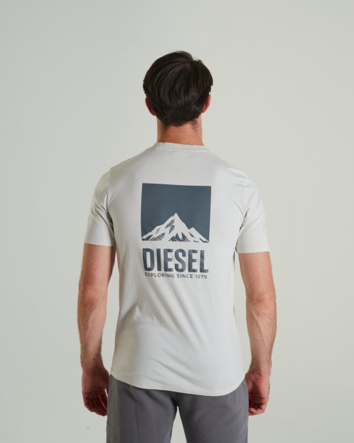 Diesel UK Wilderness Tee Clay Ivory