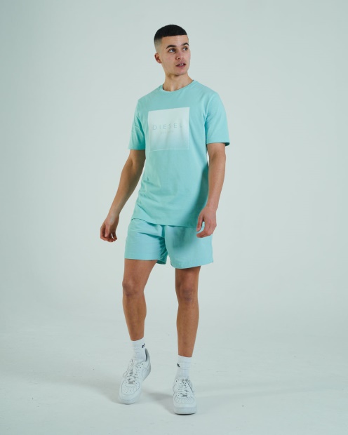 Jasper Swim Shorts Mint Green Diesel UK Green