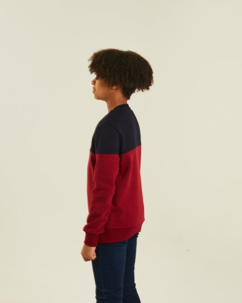 Barney Sweater Red/Navy Diesel UK Blue