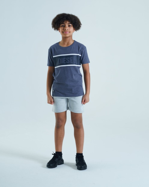 Diesel UK Doyle Tee Denim Melange Blue