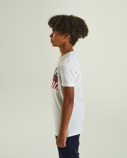 Troy Tee Diesel UK Blue