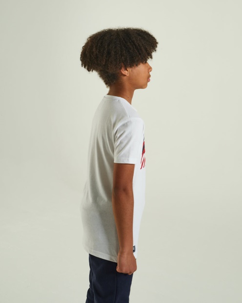 Troy Tee Diesel UK Blue