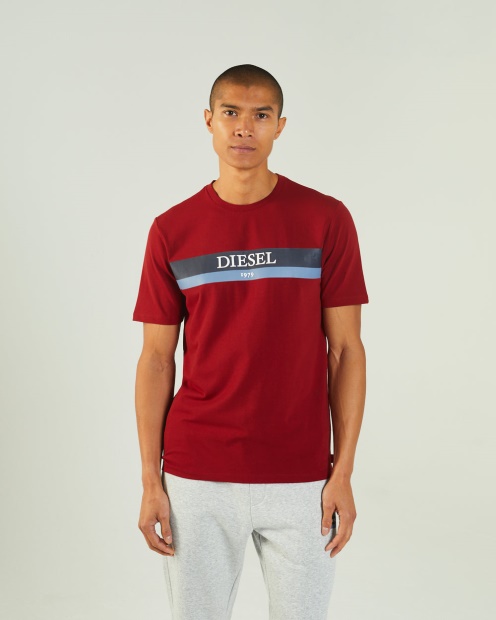 Navy Hoyt Tee Red Dahlia Diesel UK