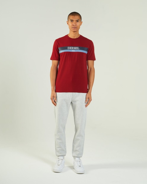 Navy Hoyt Tee Red Dahlia Diesel UK