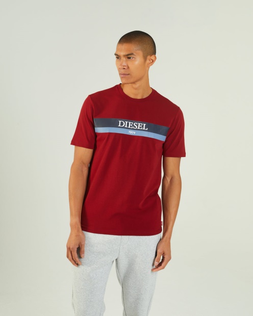 Navy Hoyt Tee Red Dahlia Diesel UK