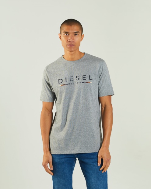 Diesel UK Fabriccio Tee Grey Marl White