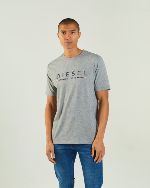Diesel UK Fabriccio Tee Grey Marl White